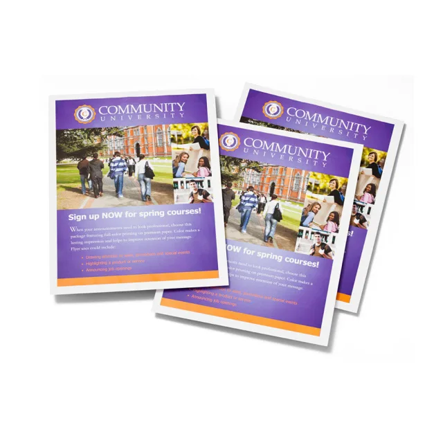 A3 Flyer / Leaflet Printing
